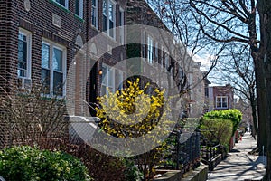 A Row of Old Homes along a Sidewalk during the Early Part of Spring in Astoria Queens New York