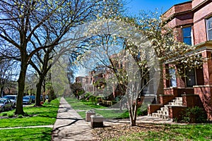 Row of Old Homes with Grass in the North Center Neighborhood of Chicago