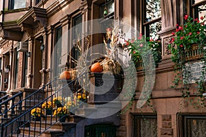 A Row of Old Houses on the Upper West Side in New York City with Autumn Decorations