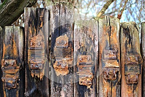 A row of old weathered railway sleepers