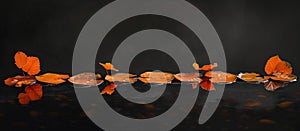 Row of orange butterflies on black background