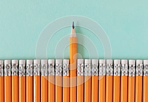 Row of orange pencils with one sharpened pencil. Leadership / standing out from a crowd concept with copy space