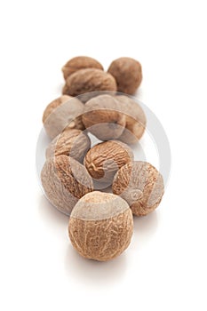 Row of Organic Nutmeg Seed.