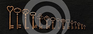 Row of ornate skeleton keys. Concept of finding multiple options for unlocking opportunities, finding solutions, or achieving