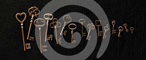 Row of ornate skeleton keys. Concept for finding multiple options for unlocking opportunities, finding solutions, or achieving