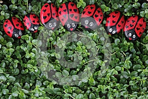 A row of Painted LadyBug Friendship Rocks on Green Plant Background