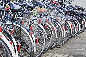 Row parked bicycles in Amsterdam, Netherlands