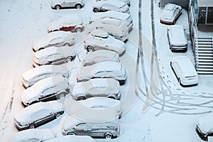 A row of parked cars covered with snow