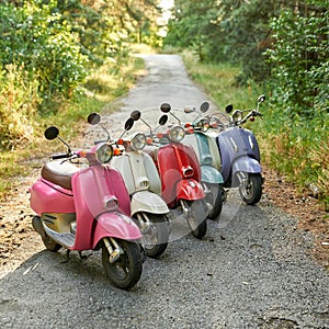 Row of parked scooters in sunny nature