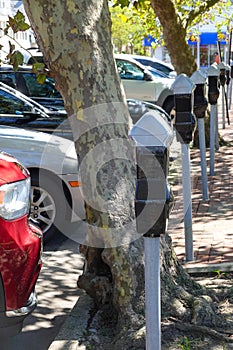 A row of parking meters in front of a row of parked cars