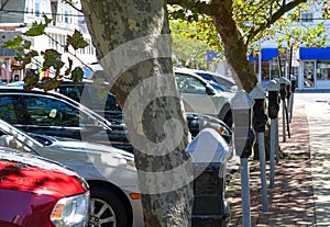 A row of parking meters in front of a row of parked cars