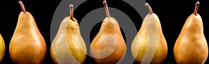 A row of pears with different colors, AI