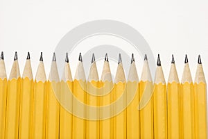 Row of pencils. photo