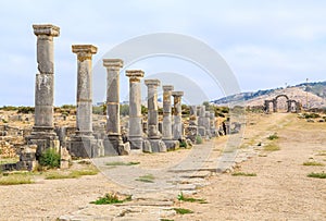 Row of pillars at the ruins of Volubilis, ancient Roman city in Morocco