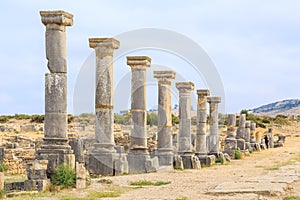 Row of pillars at the ruins of Volubilis, ancient Roman city in Morocco