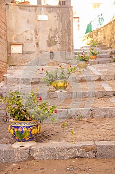 row of plant pots on a staircase at Cefalu