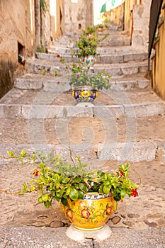 row of plant pots on a staircase at Cefalu