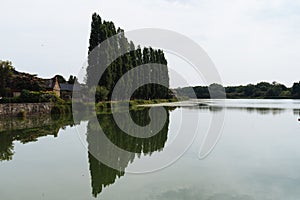 Row of poplars reflecting on the lake of Combourg