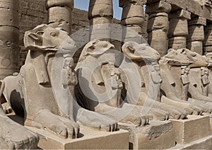 Row of ram-headed sphinxes in front of a row of columns in the first courtyard of the Temple of Amun at Karnak near Luxor, Egypt.