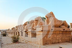 Row of ram-headed sphinxes photo