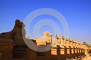 Row of ram statues at Karnak Temple in Luxor, Egypt