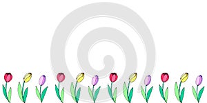 Row of red, pink, yellow tulip flowers. Vector hand drawn spring background isolated. Horizontal bottom border