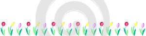 Row of red, pink, yellow tulip flowers. Vector hand drawn spring background isolated. Horizontal bottom edging, border