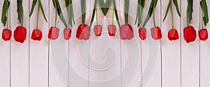 Row of red spring tulip flowers against a white textured wooden background with copy space. Easter or mother`s day greeting card