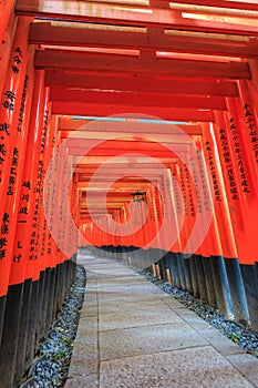 Row of red Tori Gate at Fushimi Inari Shrine at Kyoto