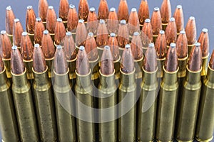 Row of rifle ammo