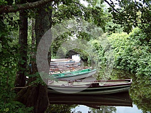 Row Row Row of Boats