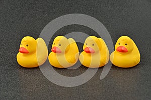 Row of Rubber Duckies