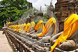 Row of Sacred Buddha