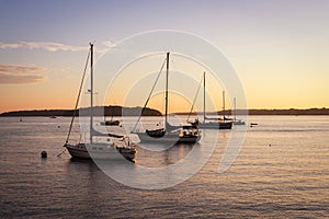 Row of sailboats at sunrise in a harbor in Maine