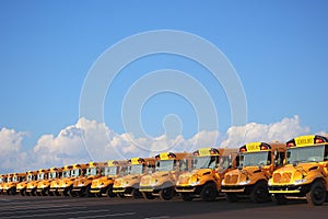 Row of School Buses