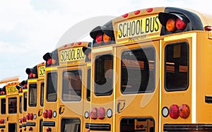 Row of School Buses