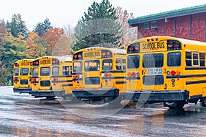 Row of school buses aligned and parked
