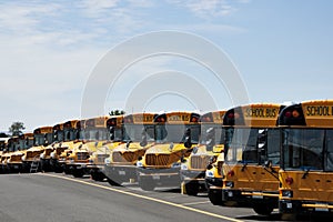 Row of School Busses