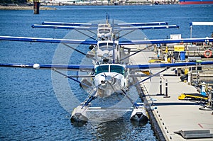 Row of seaplanes in water