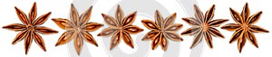 Row set collection of various star anise seasonal christmas ingredient herbs spice decoration  fruit food isolated white panorama