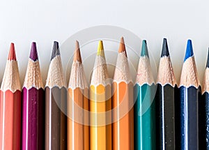 Row of Sharpened Colored Pencils Against a White Background