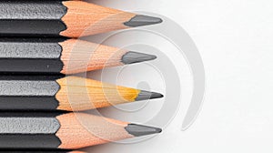 A row of sharpened colored pencils.