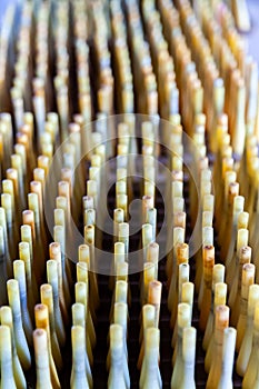 Group of Silk Spools without Silk Thread Yarn