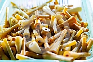 Group of Silk Spools without Silk Thread Yarn