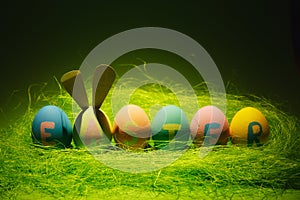 Row of six colorful pastel monophonic painted Easter eggs with inscription Easter, fun bunny ears on egg in green grass