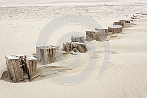 Row of small old, wooden, beach poles, meant for breaking the water for safety