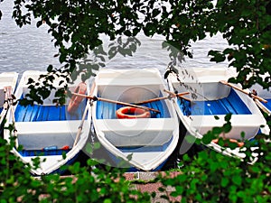 Rental Row Boats Docked on Lake Side, Bucharest, Romania