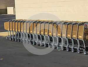 Row Of Stacked Up Shopping Carts