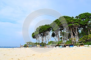 Row of Stalls with Tall Trees in Background at White Sandy Beach - Sunset Point, Laxmanpur, Neil Island, Andaman, India