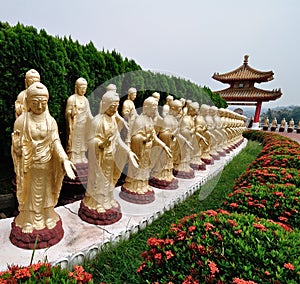 Row of standing Buddha statue in a park